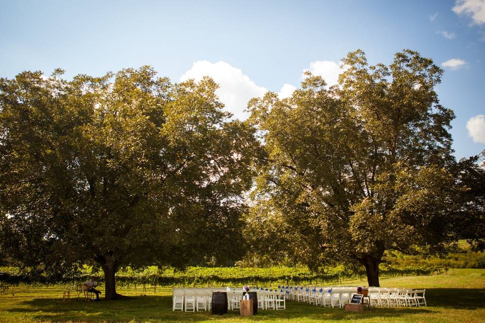 A tree ceremony