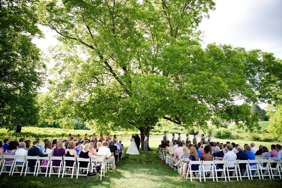 A tree ceremony