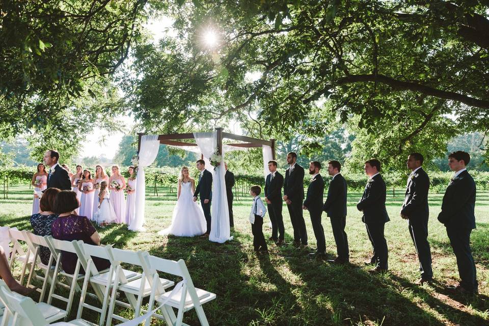 A tree ceremony