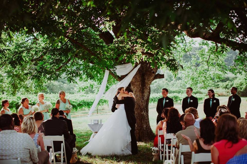 A tree ceremony