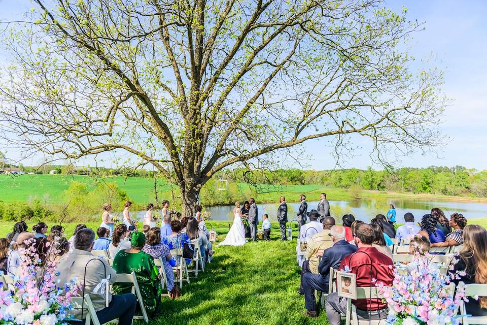 A tree ceremony