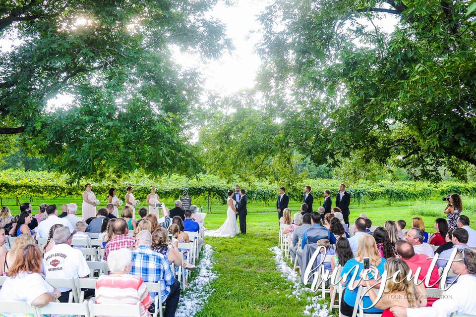 A tree ceremony