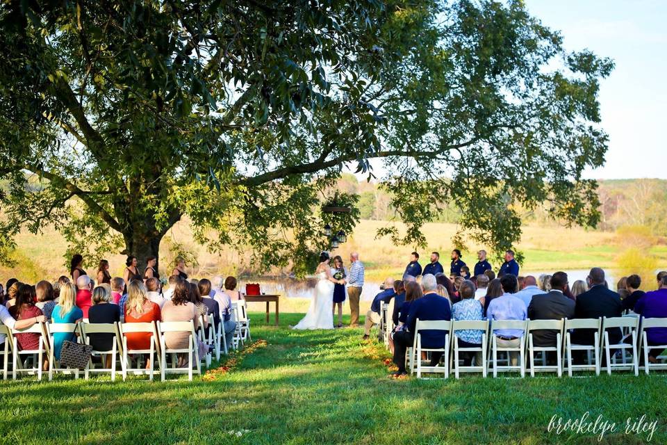 A tree ceremony