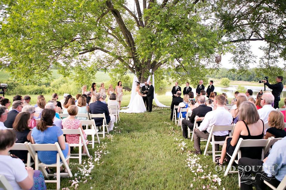 A tree ceremony