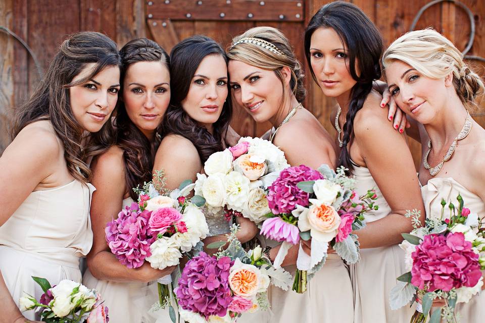 Bride and her bridesmaids