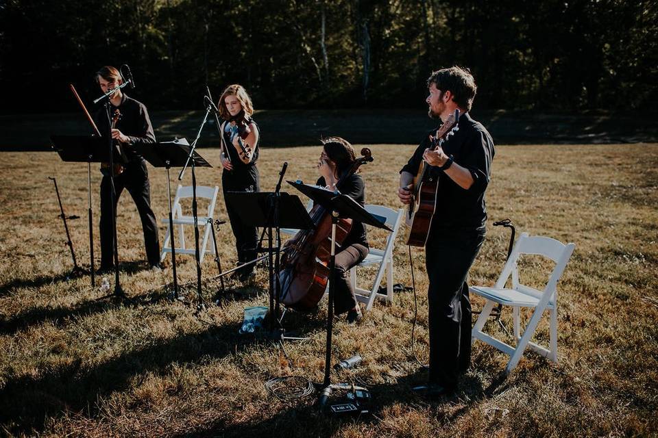 String quartet