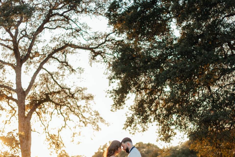 Golden hour photos