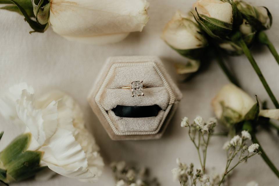 The rings in box