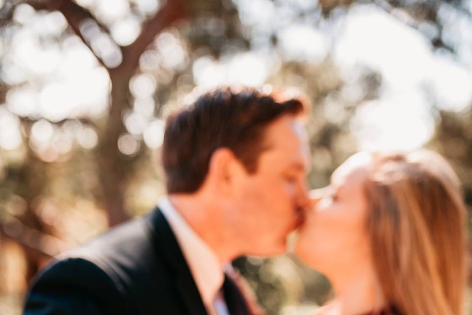 Engagement Presidio park