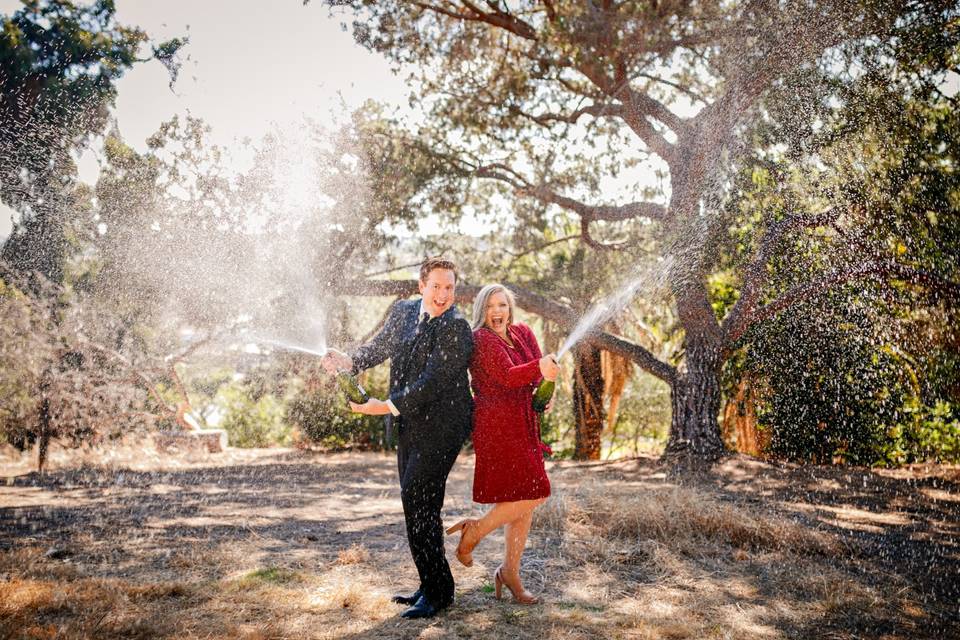 Engagement Presidio park