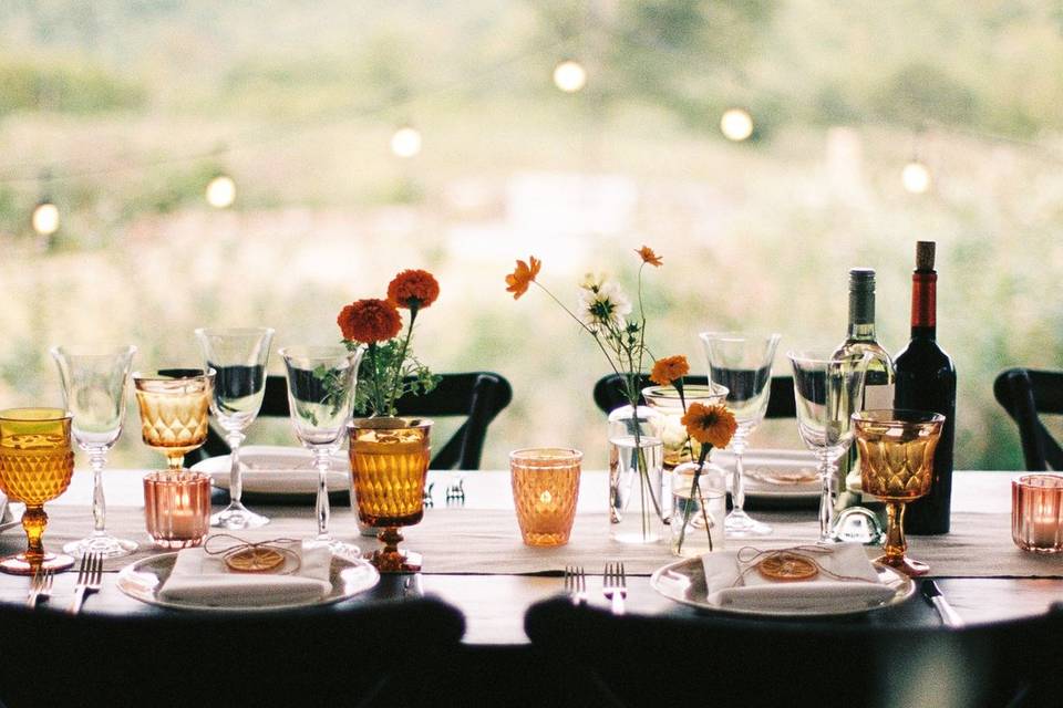 Flower Field