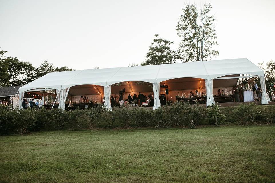 Lawn view of the tent