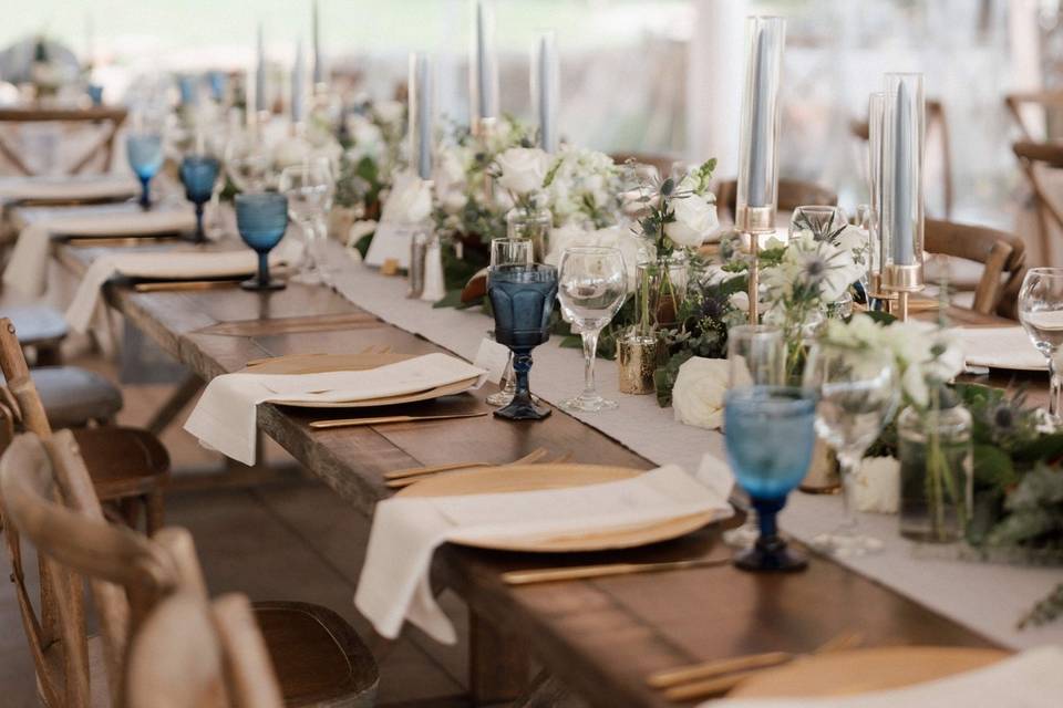 Elegant Blue and White Wedding
