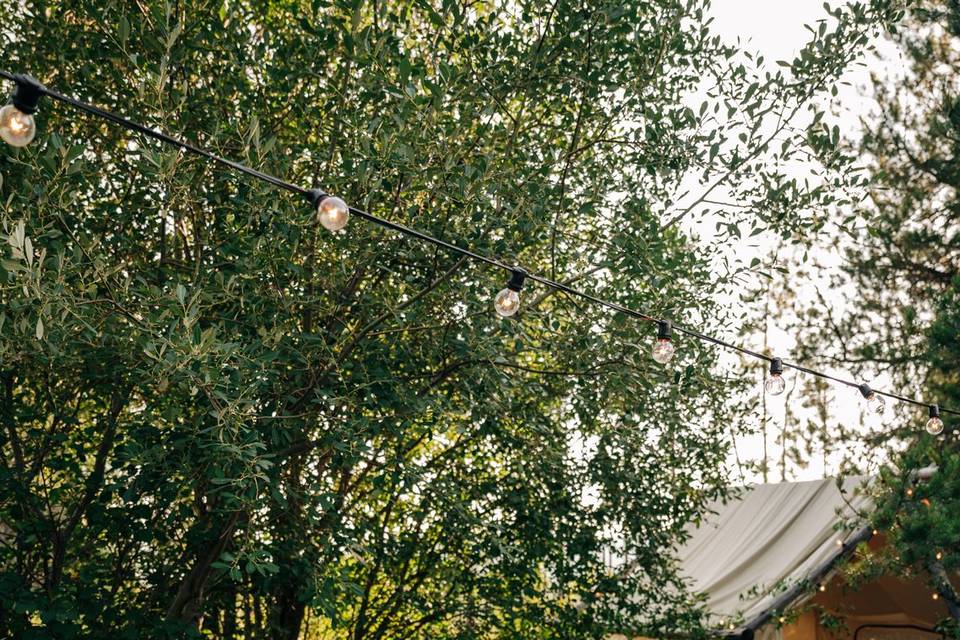 Micro Wedding in West Glacier