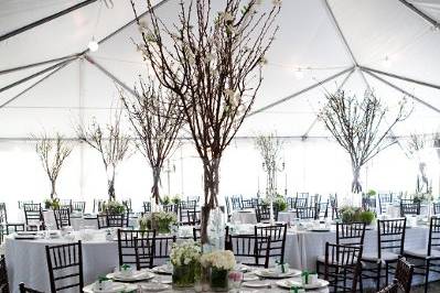Mahogany Chivari Chairs.  Tented reception with Pear Blossom centerpieces