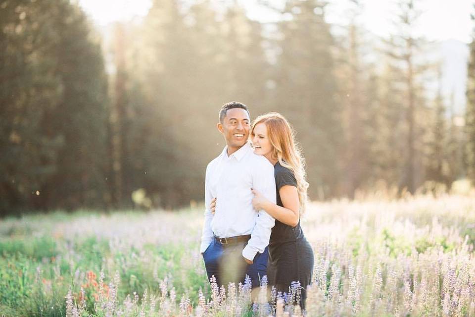 Albion basin utah engagement