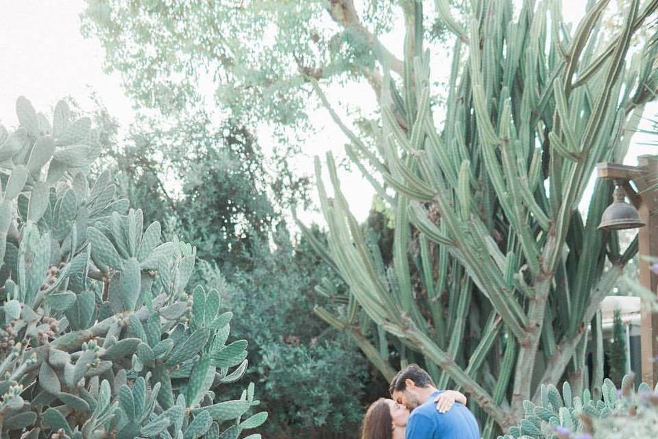 Kolob canyon wedding