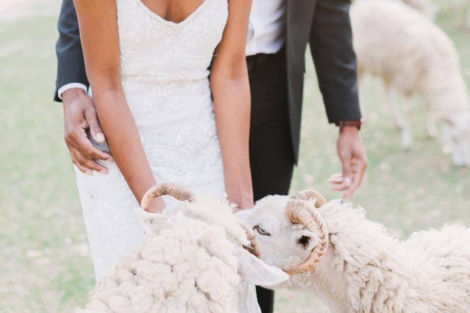 Zion elopement