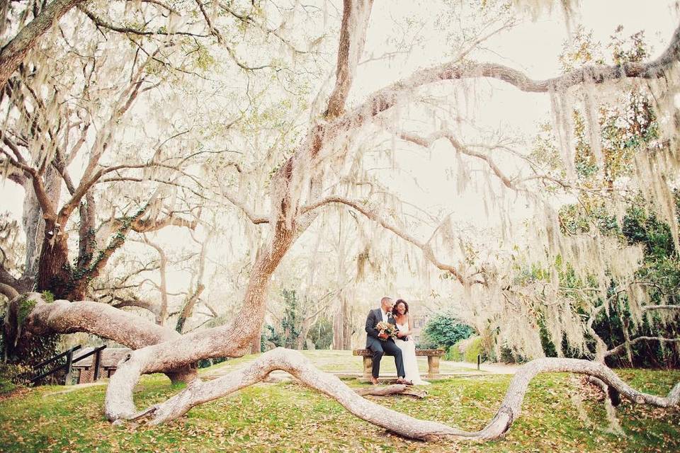 Middleton place wedding