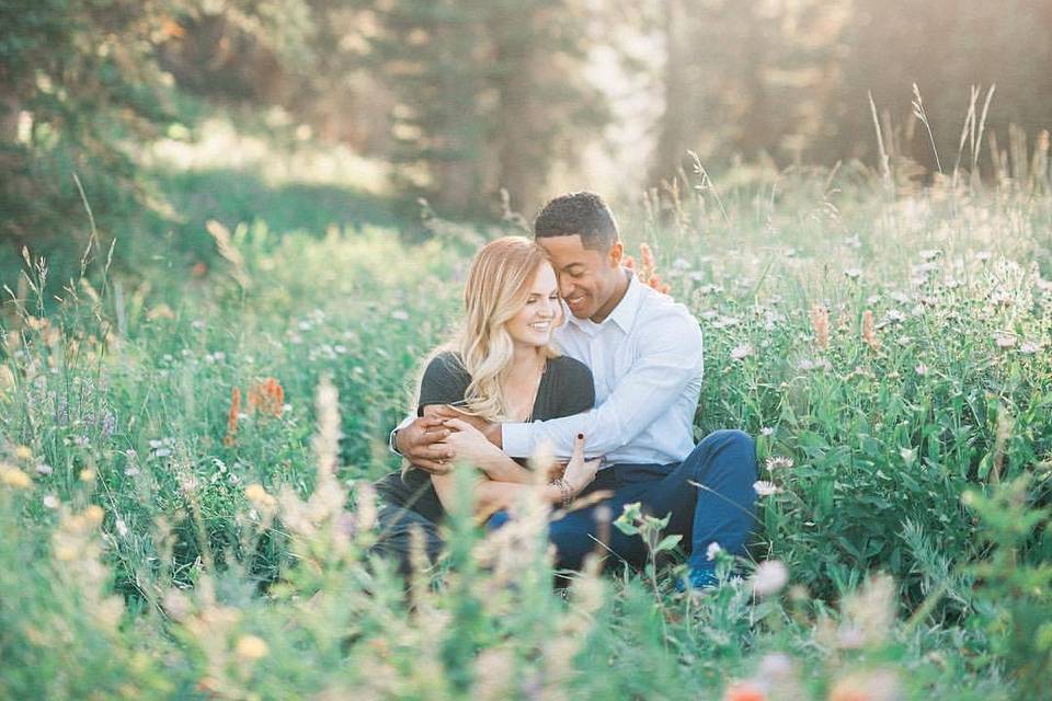 Albion basin engagement