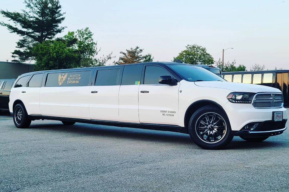 12 TO 13 PAX LIMOUSINE