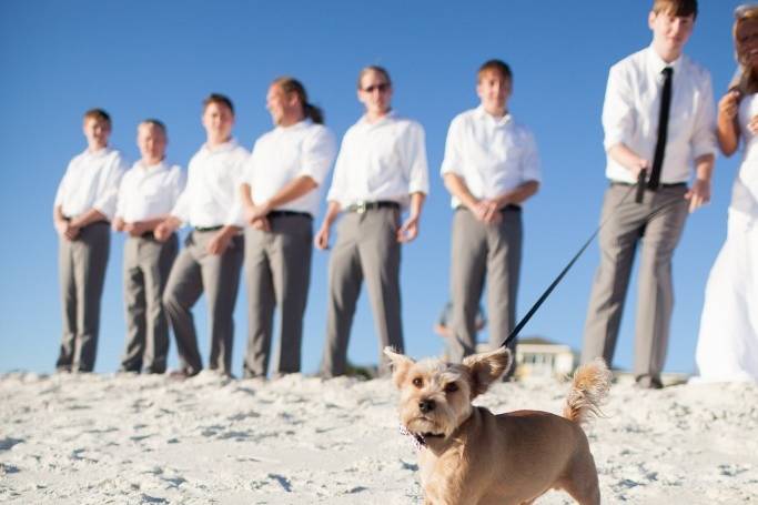 Coastal Beach Weddings