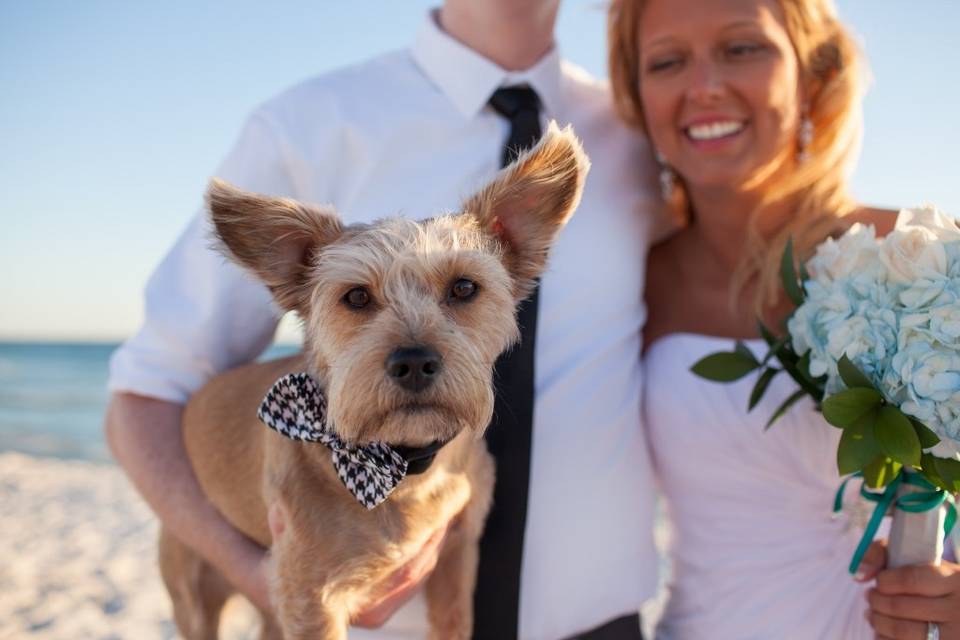 Coastal Beach Weddings