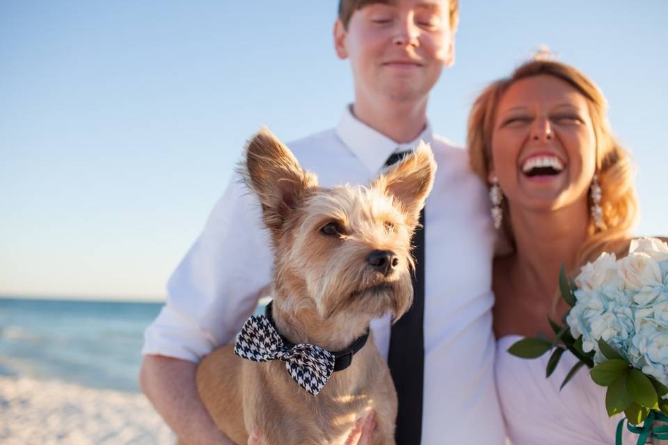 Coastal Beach Weddings