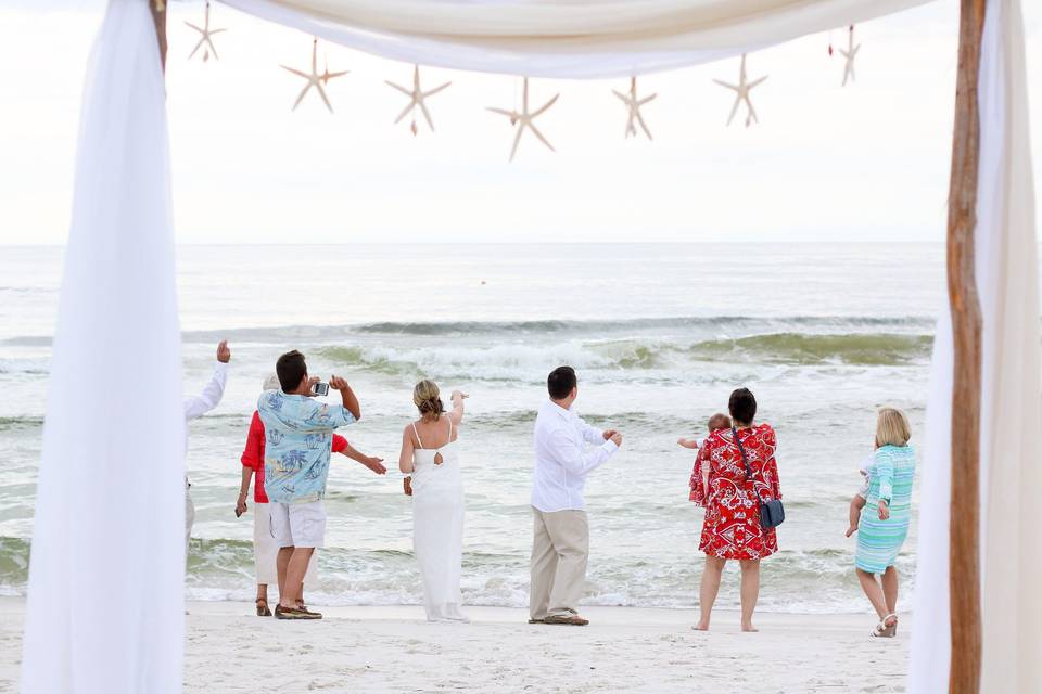 Coastal Beach Weddings