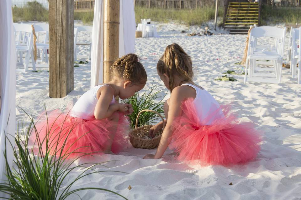 Coastal Beach Weddings