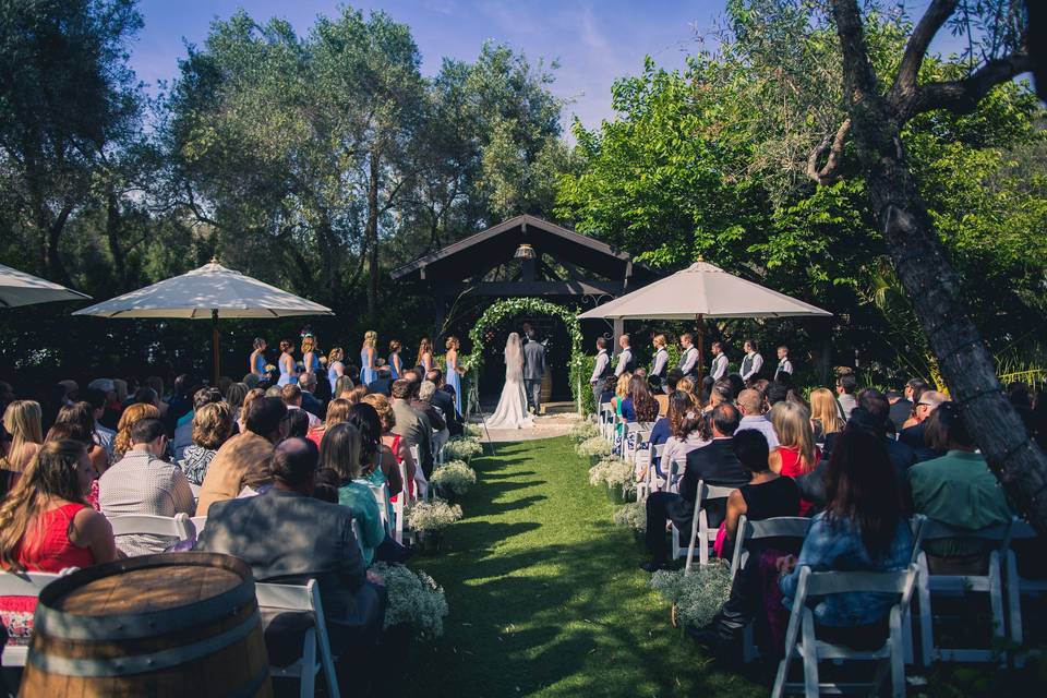 Wedding ceremony on a beautiful day