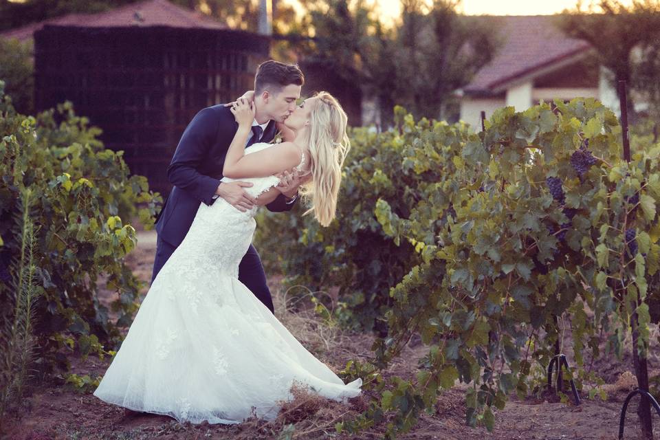 Couple kiss in the vineyard