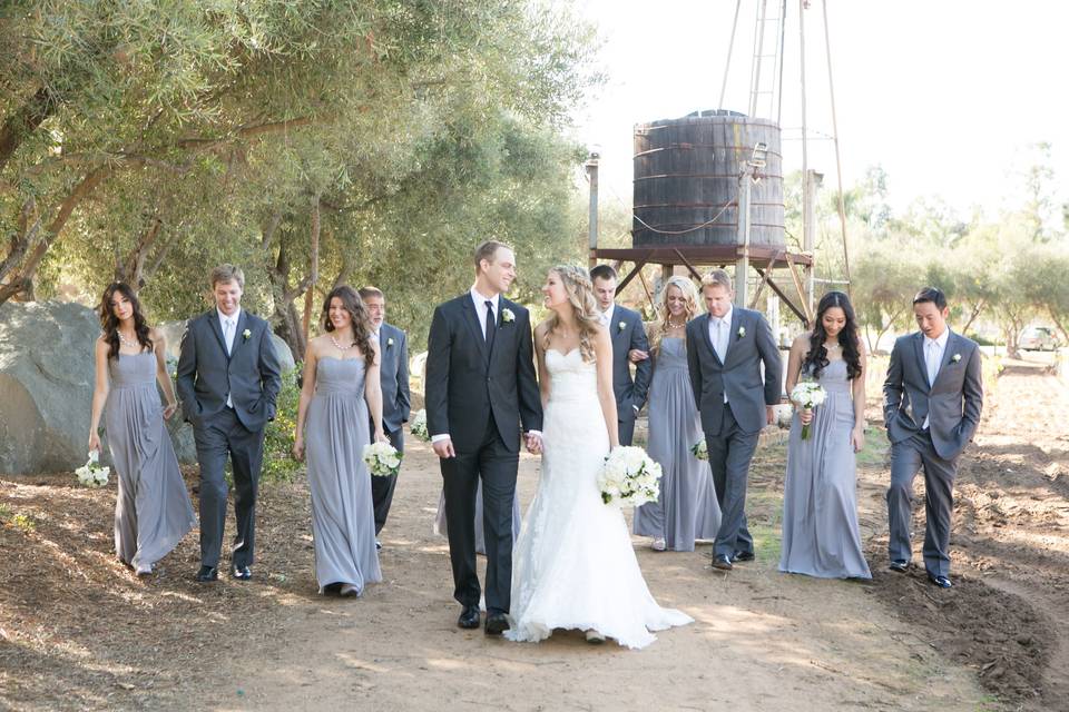 Wedding party pose in the vineyard