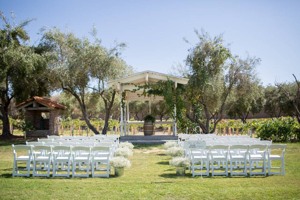 Ceremony outside at the vineyard