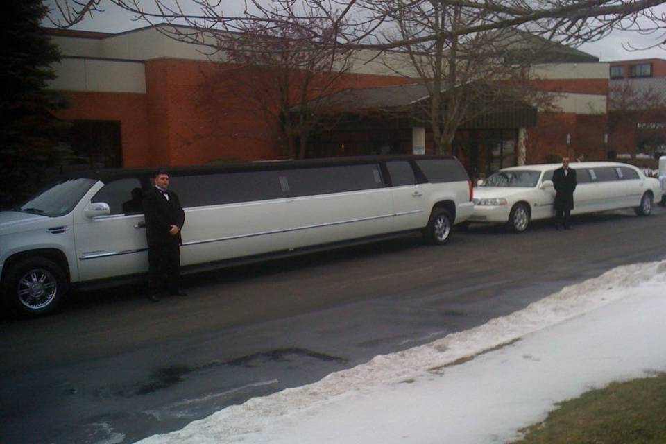 Lynette's Limousine Service, Inc.