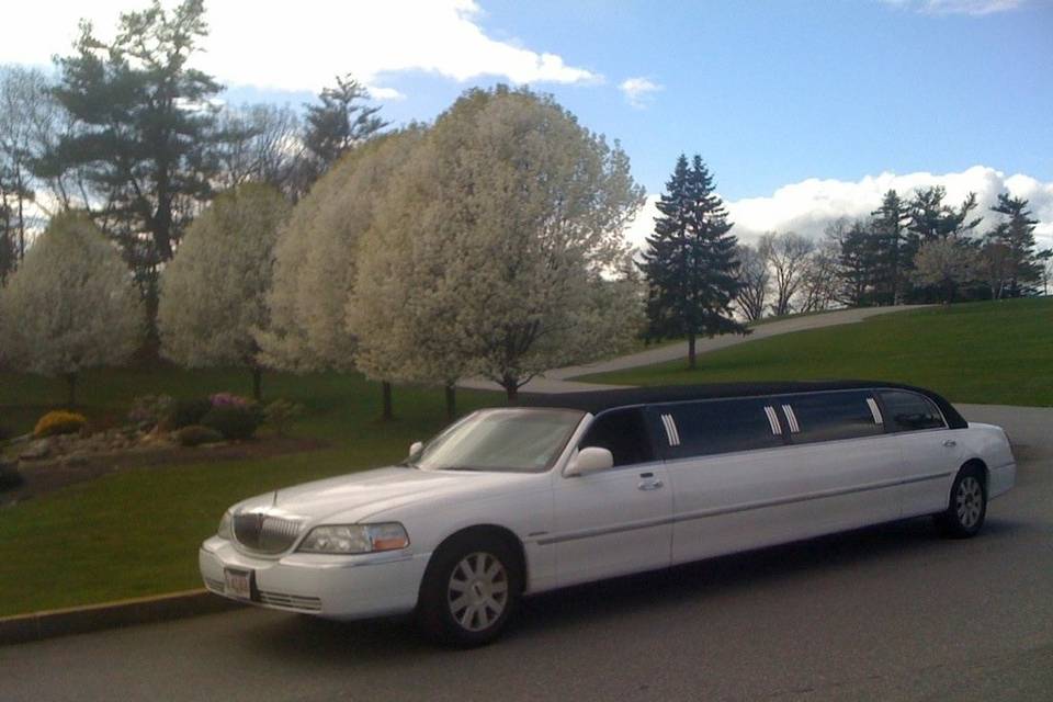 Lynette's Limousine Service, Inc.