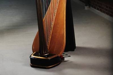 The Solo Harp of Susan W. Haas