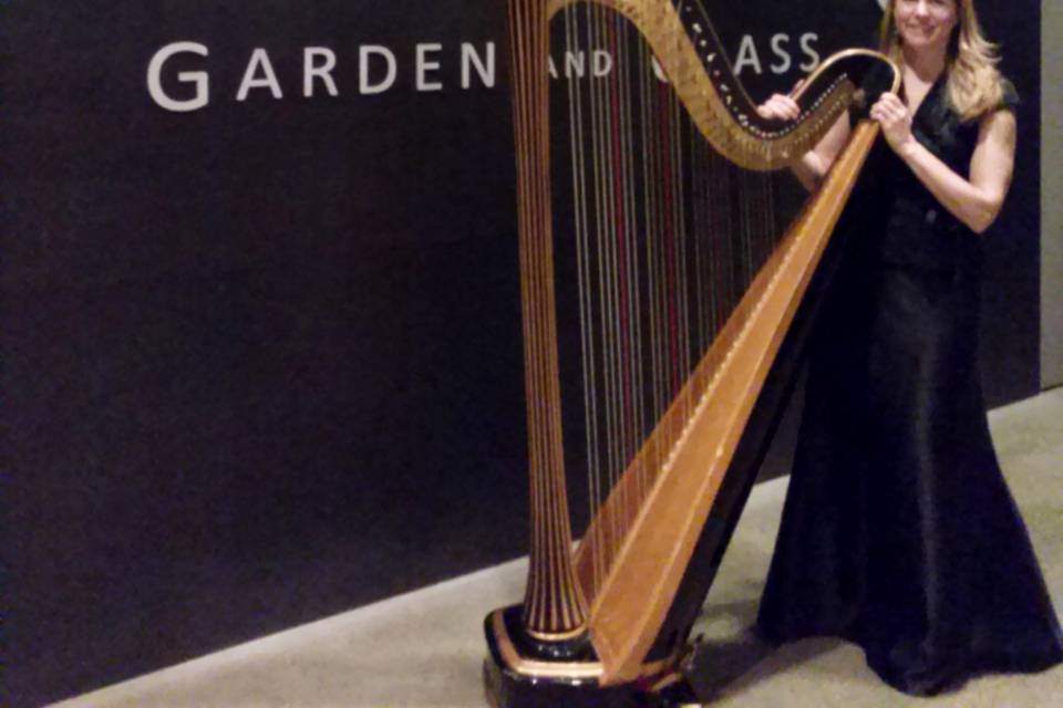 The Solo Harp of Susan W. Haas