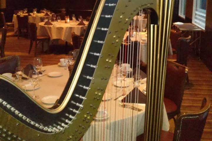 The Solo Harp of Susan W. Haas