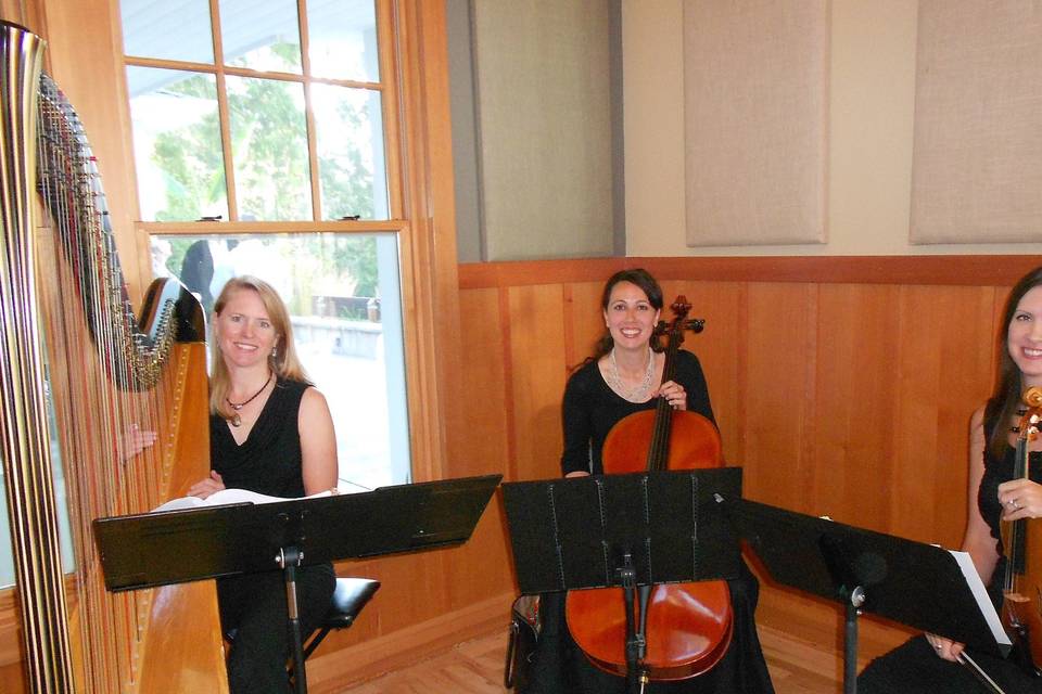 playing with Arcobaleno Strings at at wedding in Union, WA at Harmony Hill