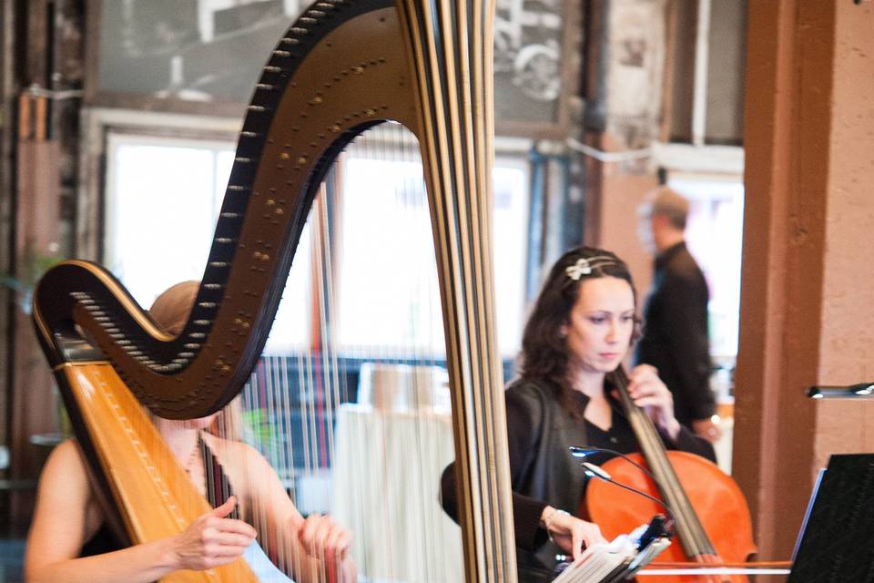 My Cello Harp Duo playing a ceremony and cocktail hour at SODO Park