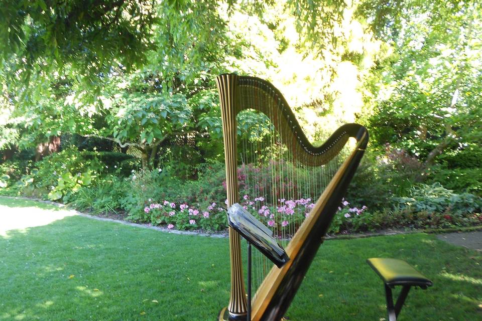 Parson's Garden, Seattle. This is the platform I use to stabilize the harp if needed, or get it up off of damp grass. The oak platform also serves as a natural amplifier.