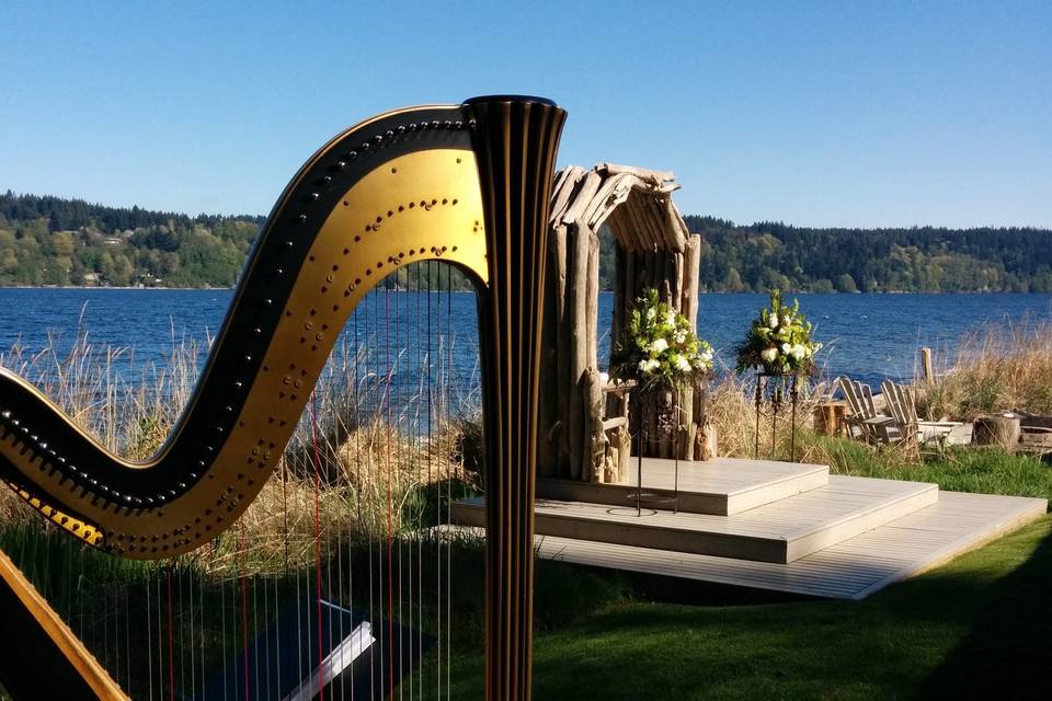 The Solo Harp of Susan W. Haas