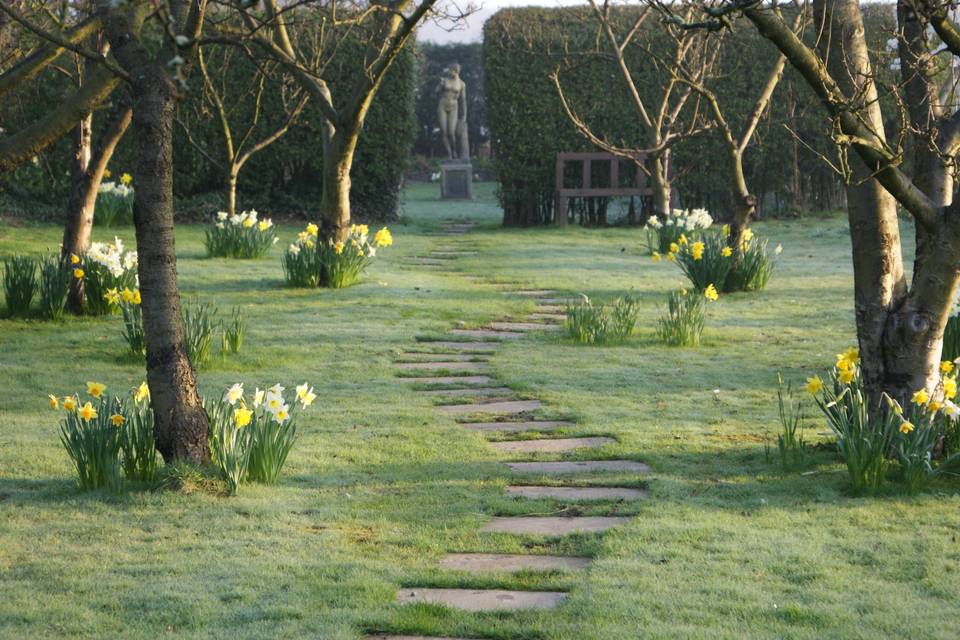 The orchard in spring