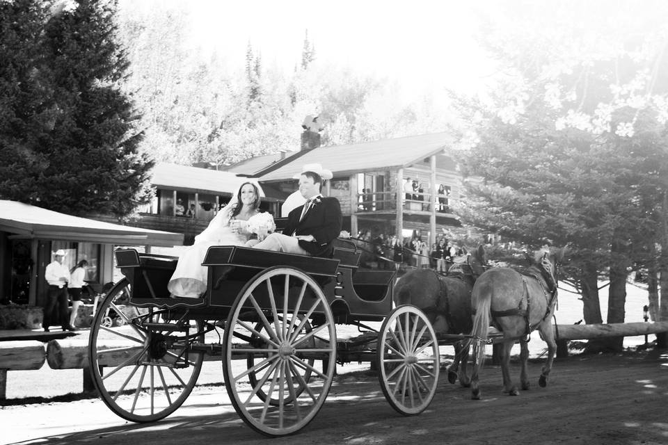 Horse Drawn Couple's Entrance