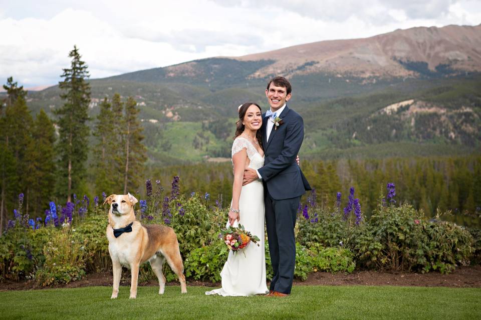 Dog Ring Bearer, Breckenridge