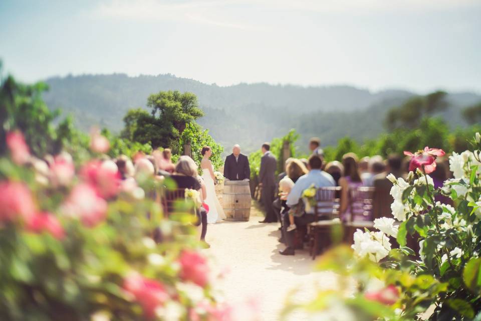 Outdoor wedding