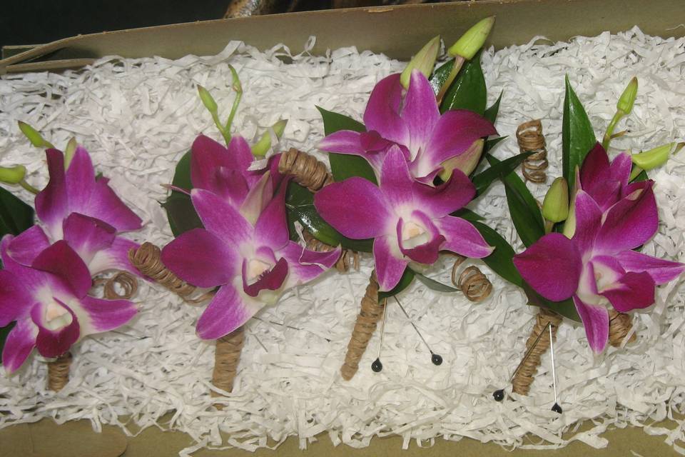 Orchid boutonnieres