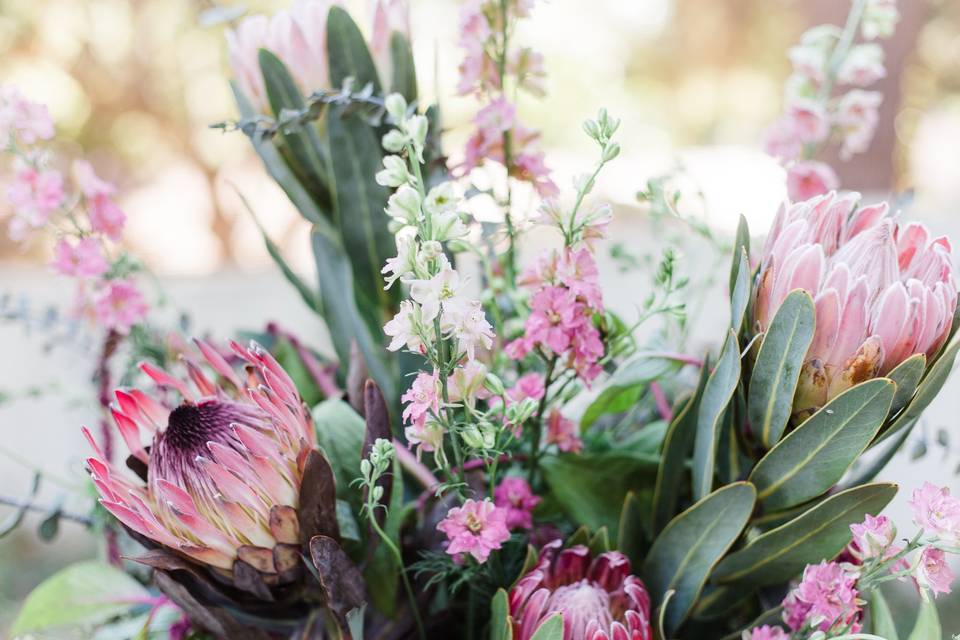 Gorgeous flowers