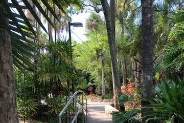 Walkway in Botanical Gardens